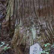 ヒメ日記 2025/06/22 21:26 投稿 かよ 吉原ファーストレディ