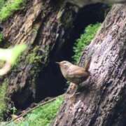 ヒメ日記 2025/07/02 11:02 投稿 かよ 吉原ファーストレディ