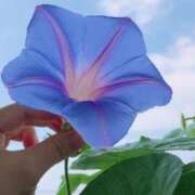 ヒメ日記 2025/07/14 19:22 投稿 かよ 吉原ファーストレディ