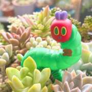 ヒメ日記 2025/07/19 18:26 投稿 かよ 吉原ファーストレディ