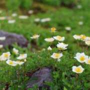 ヒメ日記 2025/07/20 19:26 投稿 かよ 吉原ファーストレディ