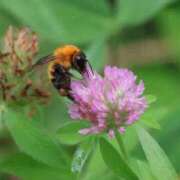 ヒメ日記 2025/07/22 17:59 投稿 かよ 吉原ファーストレディ