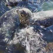 ヒメ日記 2025/07/22 22:05 投稿 かよ 吉原ファーストレディ