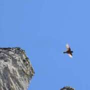 ヒメ日記 2025/07/27 20:26 投稿 かよ 吉原ファーストレディ