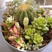 ヒメ日記 2025/07/31 13:56 投稿 かよ 吉原ファーストレディ