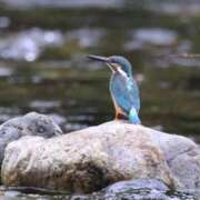 ヒメ日記 2025/07/31 17:06 投稿 かよ 吉原ファーストレディ