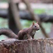 ヒメ日記 2025/08/02 14:27 投稿 かよ 吉原ファーストレディ