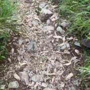 ヒメ日記 2025/08/07 19:40 投稿 かよ 吉原ファーストレディ