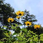 ヒメ日記 2025/08/09 22:56 投稿 かよ 吉原ファーストレディ