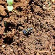 ヒメ日記 2025/08/11 18:36 投稿 かよ 吉原ファーストレディ