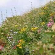 ヒメ日記 2025/08/17 18:20 投稿 かよ 吉原ファーストレディ