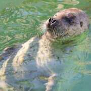 ヒメ日記 2025/08/18 21:46 投稿 かよ 吉原ファーストレディ