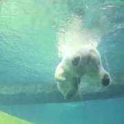 ヒメ日記 2025/08/23 17:56 投稿 かよ 吉原ファーストレディ