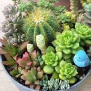 ヒメ日記 2025/09/04 17:46 投稿 かよ 吉原ファーストレディ