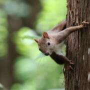 ヒメ日記 2025/09/06 14:06 投稿 かよ 吉原ファーストレディ