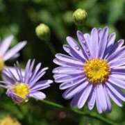 ヒメ日記 2025/09/11 23:28 投稿 かよ 吉原ファーストレディ