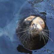 ヒメ日記 2025/09/18 22:10 投稿 かよ 吉原ファーストレディ