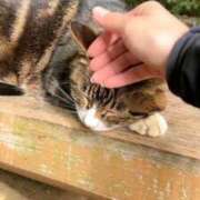 ヒメ日記 2025/10/02 18:38 投稿 かよ 吉原ファーストレディ