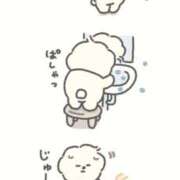 ヒメ日記 2025/10/06 11:46 投稿 かよ 吉原ファーストレディ