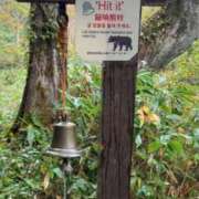 ヒメ日記 2025/10/14 08:16 投稿 かよ 吉原ファーストレディ