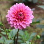 ヒメ日記 2025/10/18 22:27 投稿 かよ 吉原ファーストレディ