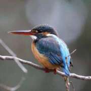 ヒメ日記 2025/11/18 21:53 投稿 かよ 吉原ファーストレディ