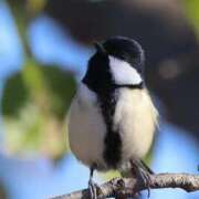 ヒメ日記 2025/11/19 22:49 投稿 かよ 吉原ファーストレディ