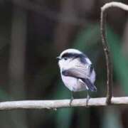 ヒメ日記 2025/11/20 18:46 投稿 かよ 吉原ファーストレディ