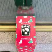 ヒメ日記 2025/12/09 18:26 投稿 かよ 吉原ファーストレディ