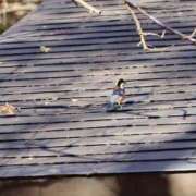 ヒメ日記 2025/12/15 18:22 投稿 かよ 吉原ファーストレディ