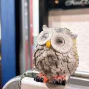 ヒメ日記 2026/01/14 17:36 投稿 かよ 吉原ファーストレディ