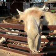 かよ つるとまつ\( *´ω`* )/♪ 吉原ファーストレディ