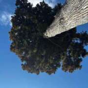 ヒメ日記 2026/02/02 09:46 投稿 かよ 吉原ファーストレディ