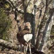 ヒメ日記 2026/02/02 18:26 投稿 かよ 吉原ファーストレディ