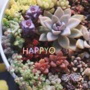 ヒメ日記 2026/02/04 10:28 投稿 かよ 吉原ファーストレディ