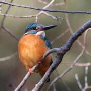 ヒメ日記 2026/02/10 08:17 投稿 かよ 吉原ファーストレディ