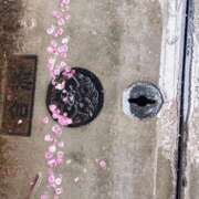 ヒメ日記 2026/02/25 14:16 投稿 かよ 吉原ファーストレディ