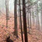 ヒメ日記 2026/02/26 19:56 投稿 かよ 吉原ファーストレディ