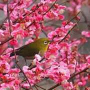 ヒメ日記 2026/02/28 07:51 投稿 かよ 吉原ファーストレディ