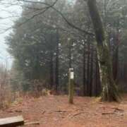 ヒメ日記 2026/02/28 22:36 投稿 かよ 吉原ファーストレディ