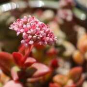 ヒメ日記 2026/03/05 18:26 投稿 かよ 吉原ファーストレディ