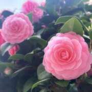 ヒメ日記 2026/03/21 21:56 投稿 かよ 吉原ファーストレディ