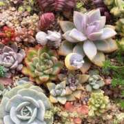 ヒメ日記 2026/03/27 10:28 投稿 かよ 吉原ファーストレディ