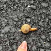 ヒメ日記 2026/04/04 19:45 投稿 かよ 吉原ファーストレディ