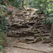 ヒメ日記 2026/04/06 17:36 投稿 かよ 吉原ファーストレディ