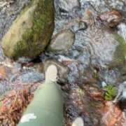 ヒメ日記 2026/04/10 10:26 投稿 かよ 吉原ファーストレディ