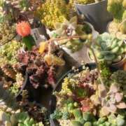 ヒメ日記 2026/04/14 20:16 投稿 かよ 吉原ファーストレディ