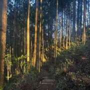 ヒメ日記 2026/04/16 16:56 投稿 かよ 吉原ファーストレディ