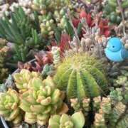 かよ ぽじてぃぶがさいきょう\( *´ω`* )/♪ 吉原ファーストレディ