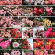 ヒメ日記 2026/05/14 19:38 投稿 かよ 吉原ファーストレディ